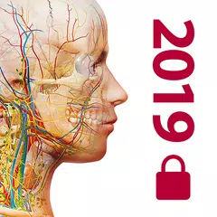 Descargar XAPK de 2019 A&P Perpetual