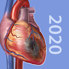 Physiology & Pathology simgesi