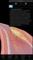 Fisiología & Patología captura de pantalla 1