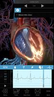 Physiology & Pathology الملصق