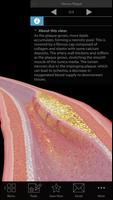 Physiology & Pathology Ekran Görüntüsü 1