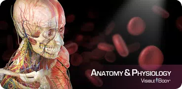 Anatomy & Physiology Springer