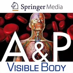 Anatomy & Physiology Springer XAPK 下載