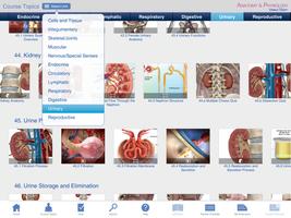 Anatomy & Physiology Springer Plakat