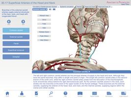 Anatomy & Physiology Springer screenshot 2