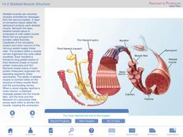 Anatomy & Physiology Springer captura de pantalla 3