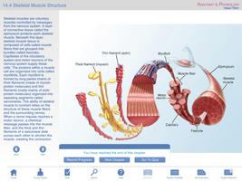Anatomy & Physiology Springer ảnh chụp màn hình 3