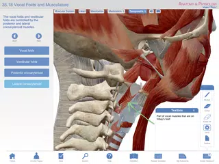 download Anatomy & Physiology Springer XAPK