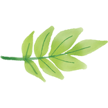 Village Golden Boituva