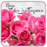 Rose Live Wallpaper icône