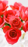 Rose Live Wallpaper پوسٹر