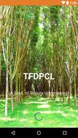 TFDPCL โปสเตอร์