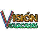 Visión Guacaras APK