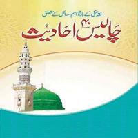 Hadees e Mubarak Affiche