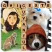 Ghiceste Cuvantul APK