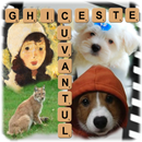 Ghiceste Cuvantul APK