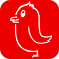 El Pájaro