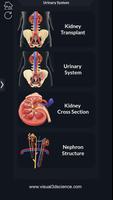 Urinary System Pro. captura de pantalla 1