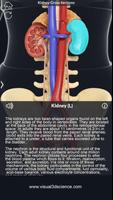 Urinary System Pro. capture d'écran 3