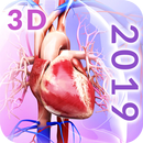 Circulatory System Anatomy APK