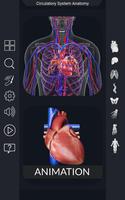 Circulatory System Anatomy Affiche
