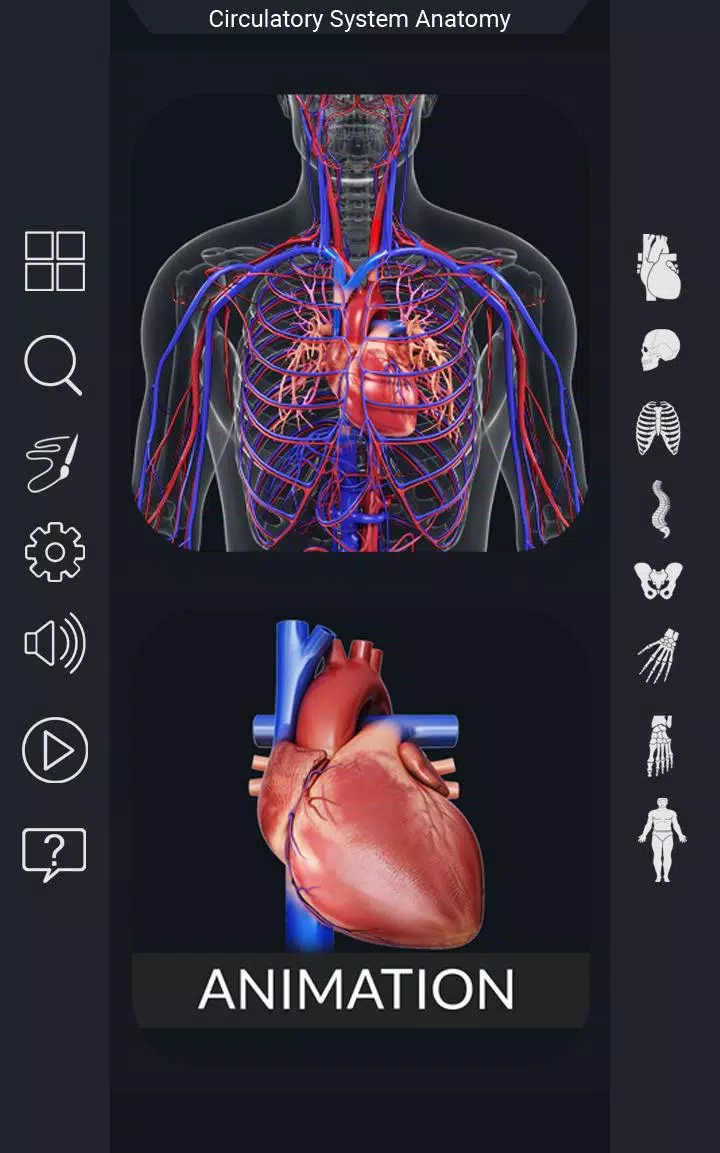 Circulatory System Anatomy APK for Android Download Circulatory System Anatomy APK for Android Download