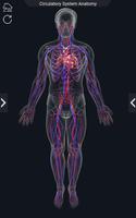 Circulatory System Anatomy capture d'écran 1