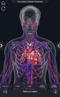 Circulatory System Anatomy capture d'écran 2
