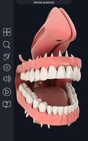 Dental  Anatomy تصوير الشاشة 1
