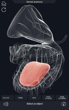 Dental  Anatomy 截图 3