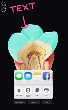 Dental  Anatomy 截图 6