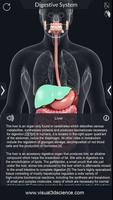 Digestive System 스크린샷 3