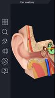 My Ear Anatomy poster