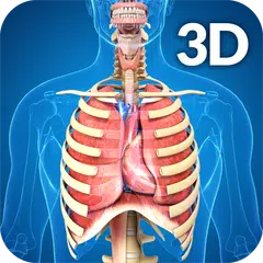 Respiratory System Anatomy APK download