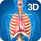 Respiratory System Anatomy أيقونة