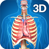 Respiratory System Anatomy APK