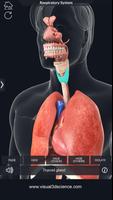 Respiratory System Anatomy capture d'écran 3