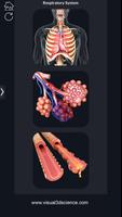 1 Schermata Respiratory System Anatomy