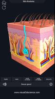 Skin Anatomy capture d'écran 3