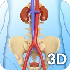 download My Urinary System APK