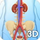 My Urinary System icône