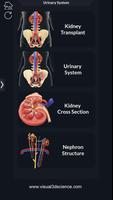 My Urinary System ภาพหน้าจอ 1