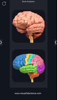 Brain Anatomy Pro. โปสเตอร์