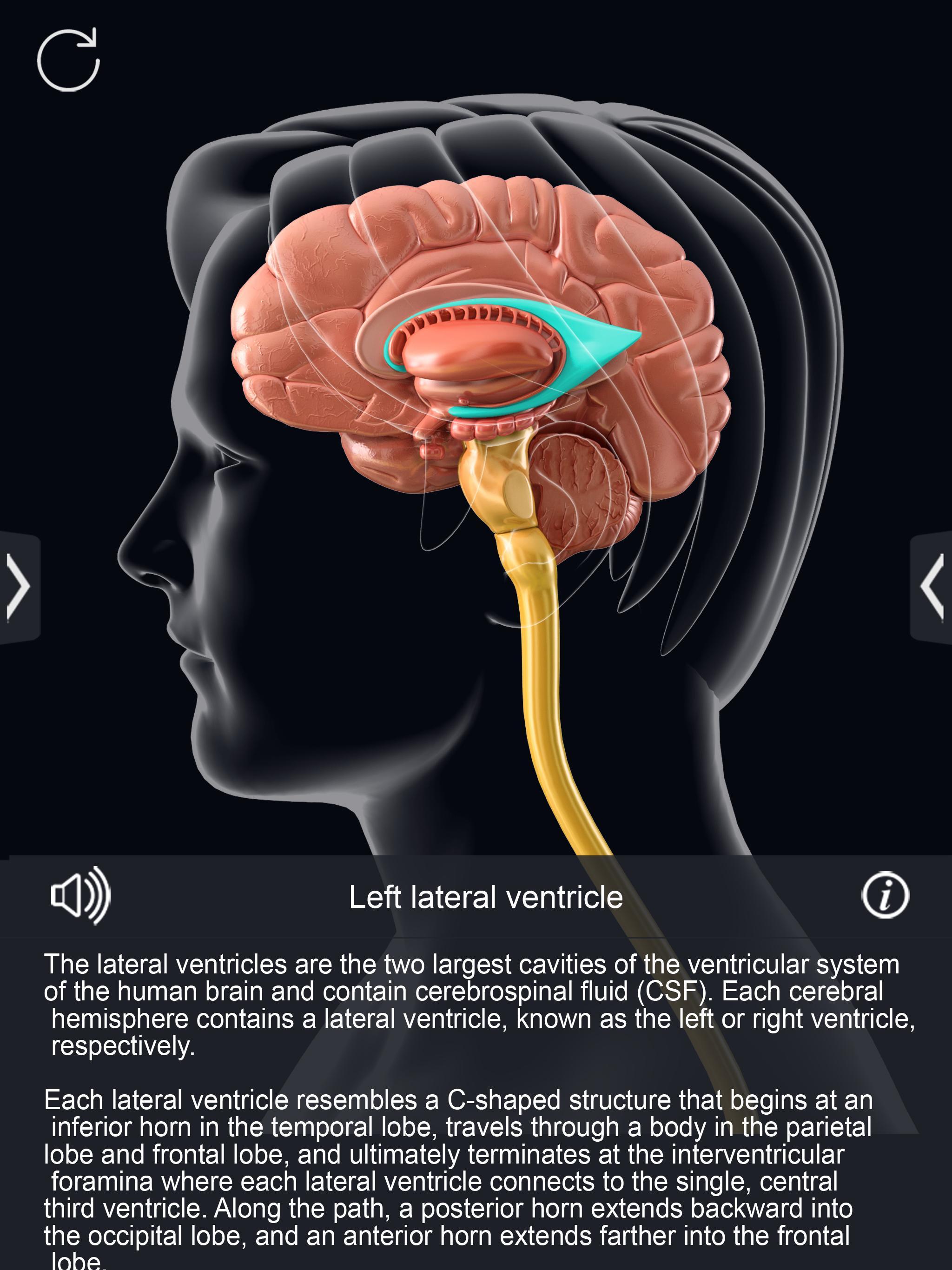 Photo Editor Pro Apk Free Download Photo Editor Pro Apk Free Download