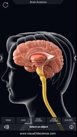 Brain Anatomy Pro. captura de pantalla 2
