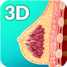 Breast Anatomy Pro. simgesi