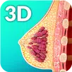 Breast Anatomy Pro. APK