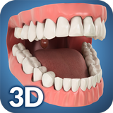 Dental Anatomy Pro. APK