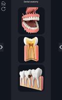Dental Anatomy Pro. 截图 1