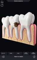 برنامه‌نما Dental Anatomy Pro. عکس از صفحه